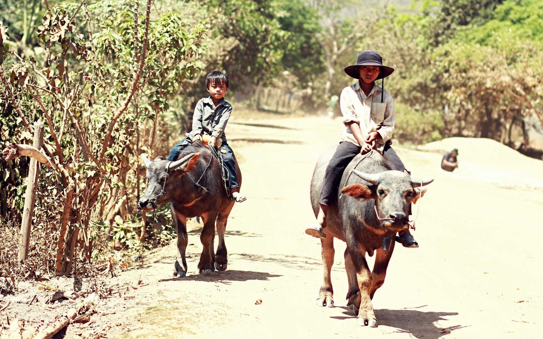 BƯỚC CHÂN TÌNH NGUYỆN 2015 0