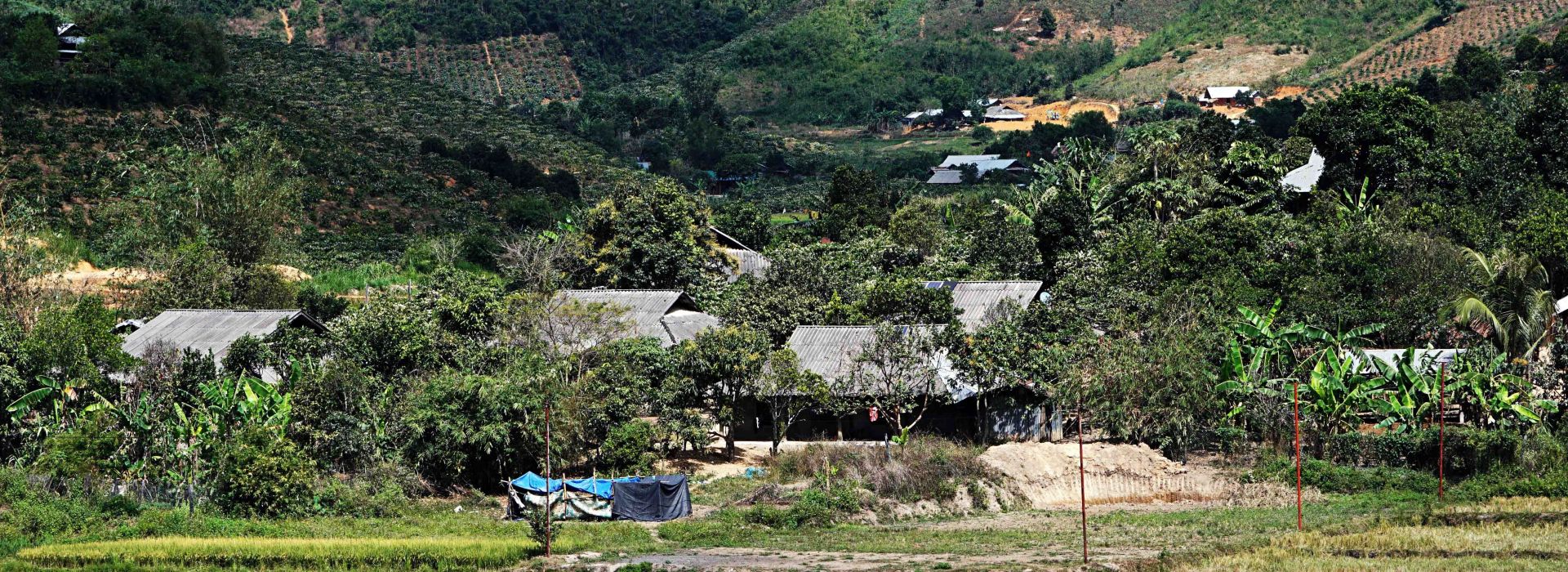 TRĂNG TUỔI THƠ 2019 0