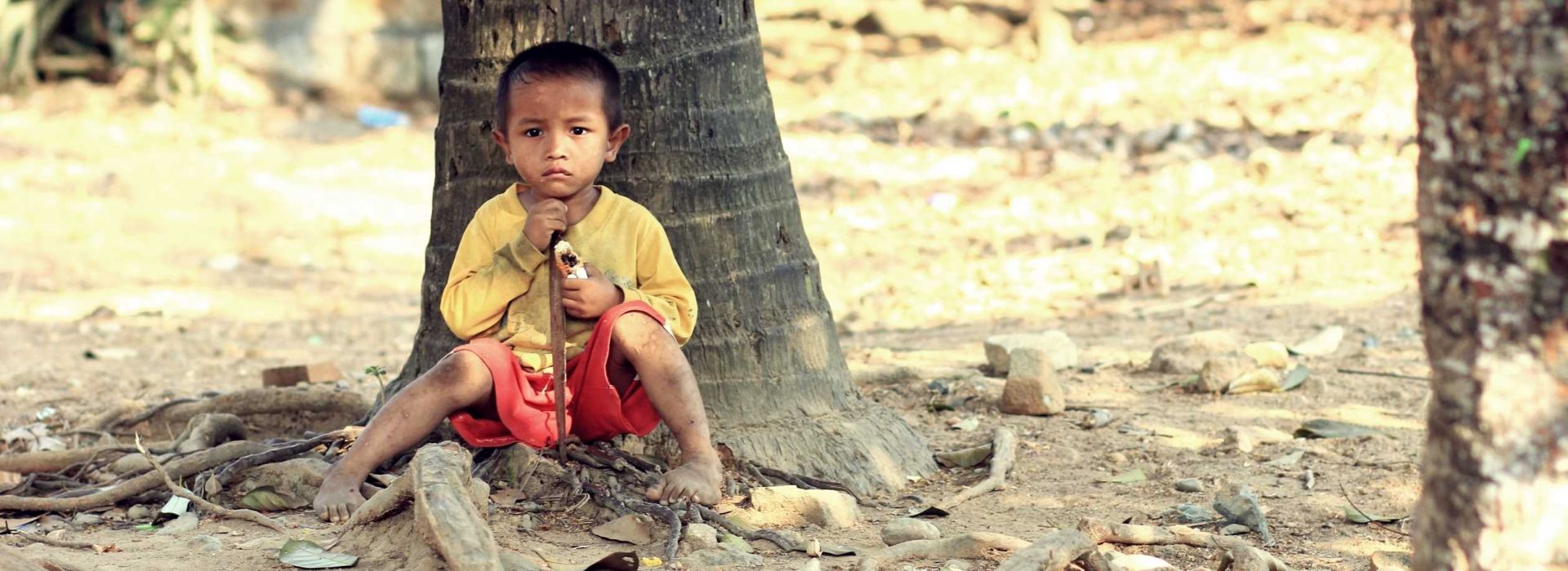 BƯỚC CHÂN TÌNH NGUYỆN 2014 0