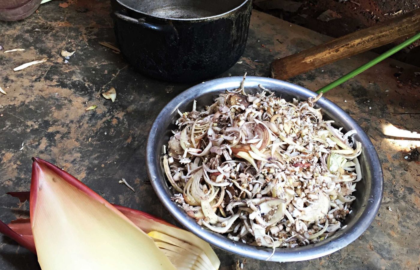 BƯỚC CHÂN TÌNH NGUYỆN 2016 0