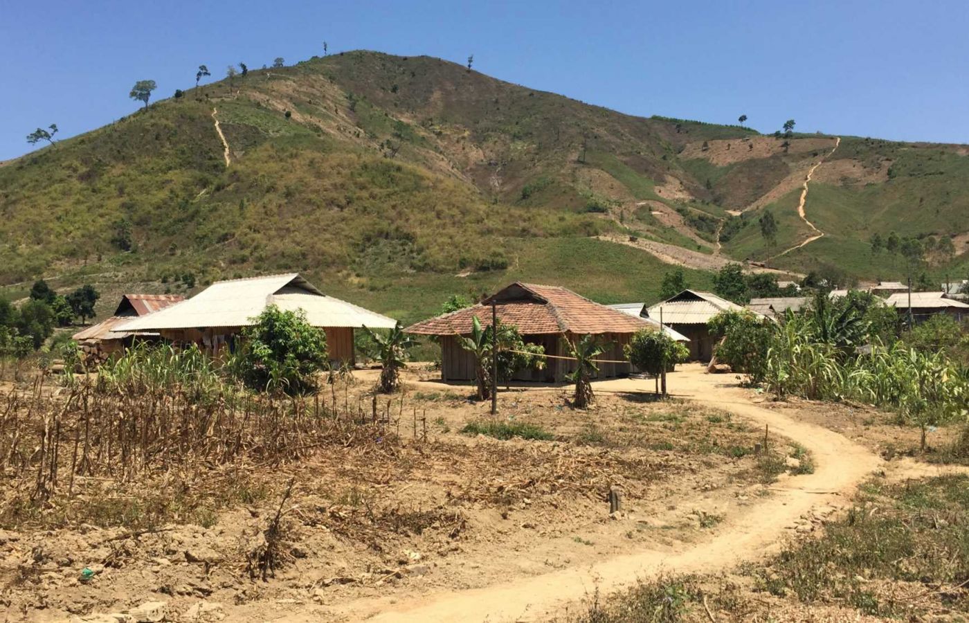 BƯỚC CHÂN TÌNH NGUYỆN 2015 0