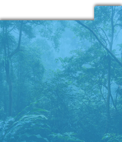 https://joefortuneau.org/